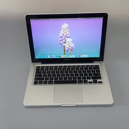 95 16+512 Apple/ 1 Marine Spare Part