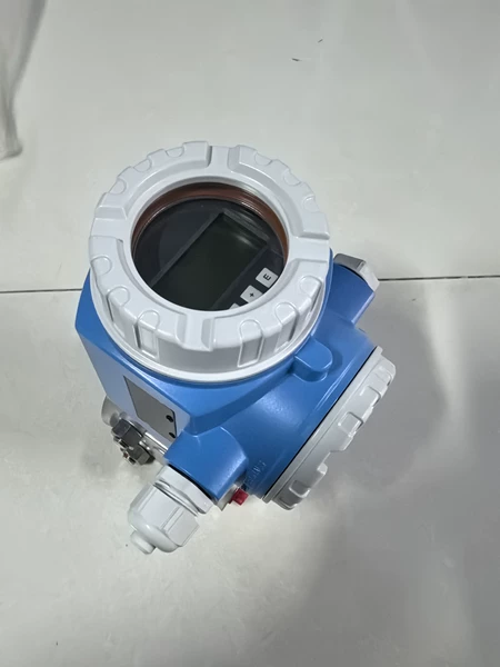 Endress+Hauser Differential Pressure Transmitter Model P