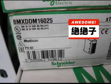 BMXDDM16025 Schneider Electric PLC Module