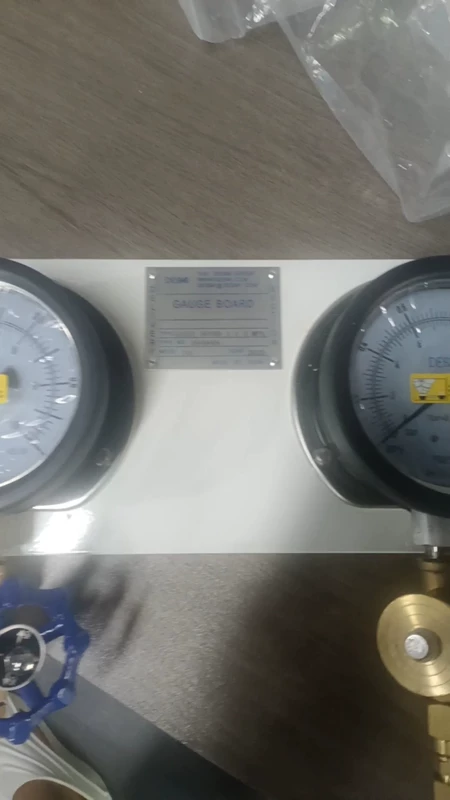 DESMI Pressure Gauge GAUGE BOARD Model 1-1.5 MP