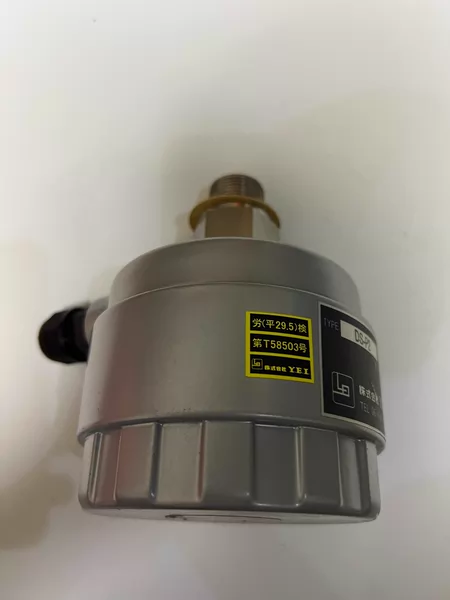 DS-P2 Level Sensor DS-P2F