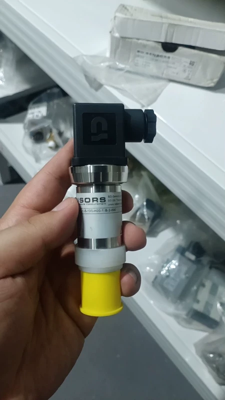 BD SENSORS Pressure Sensor Model DMP331P