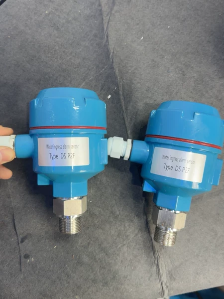 DS+P2F Sensor Head