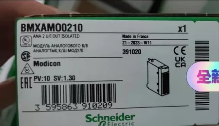 BMXAMO0210 Schneider Electric Marine Spare Part
