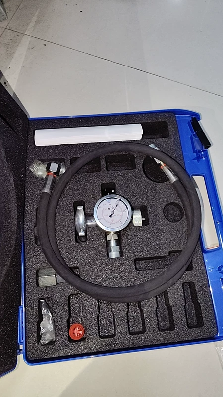 BSD Bolenz & Schäfer FPE Pressure Gauge