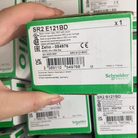 SR2E121BD Schneider Electric Module